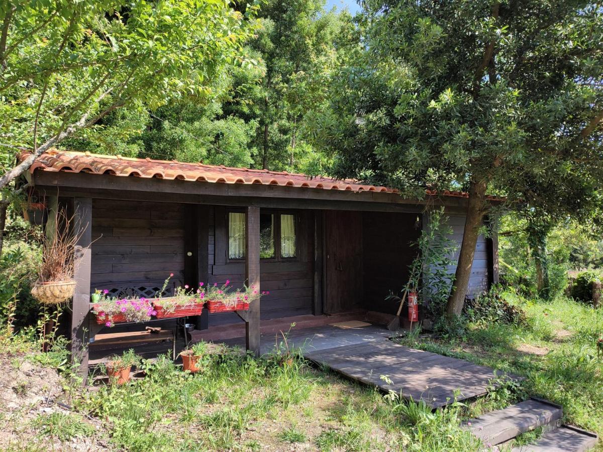 O Cantinho De Coura - A Cabana Paredes de Coura Exteriér fotografie