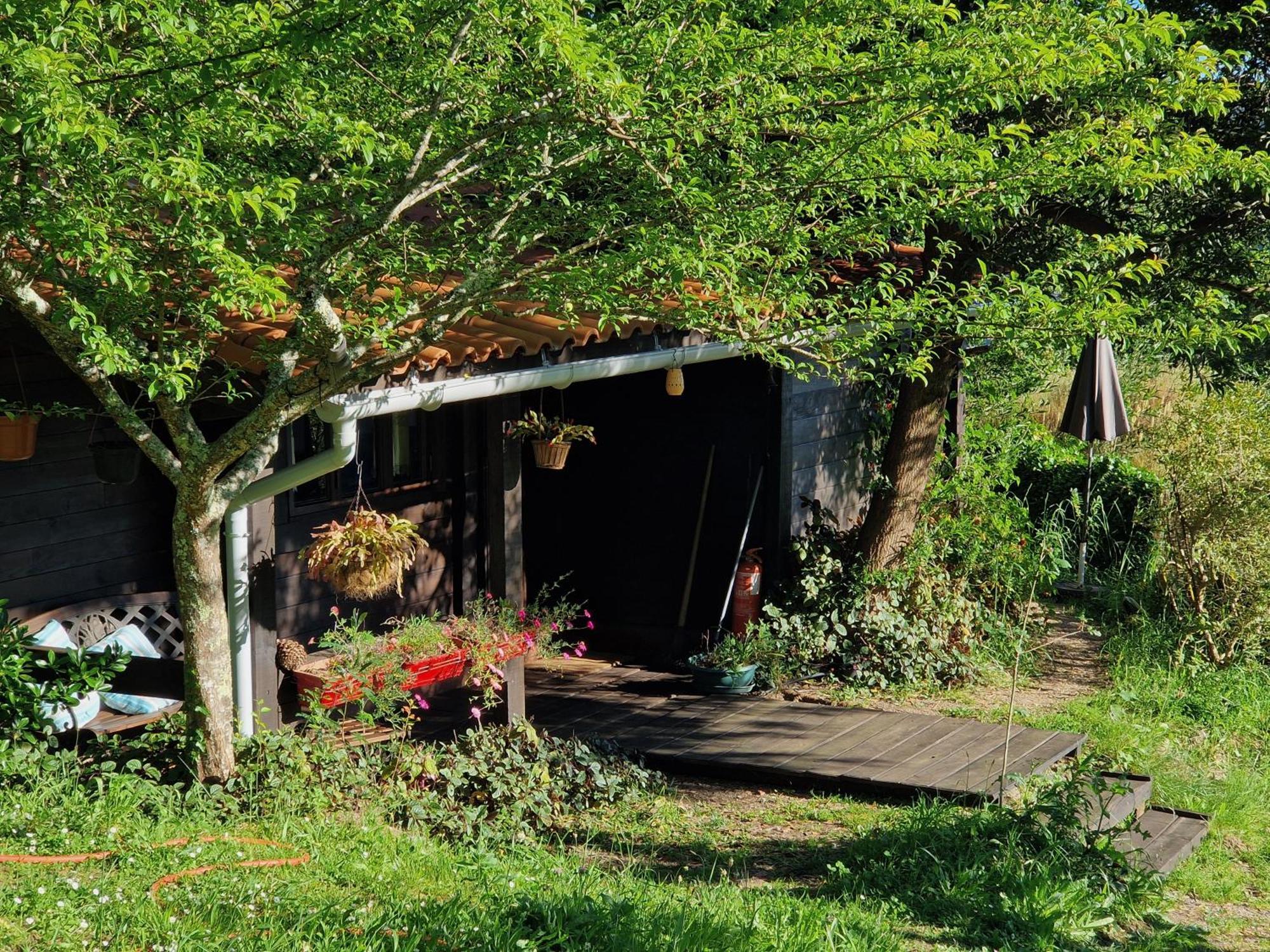O Cantinho De Coura - A Cabana Paredes de Coura Exteriér fotografie