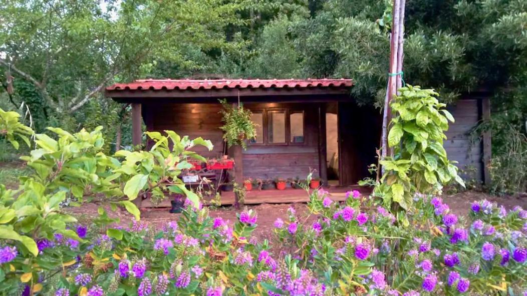 O Cantinho De Coura - A Cabana Paredes de Coura Exteriér fotografie